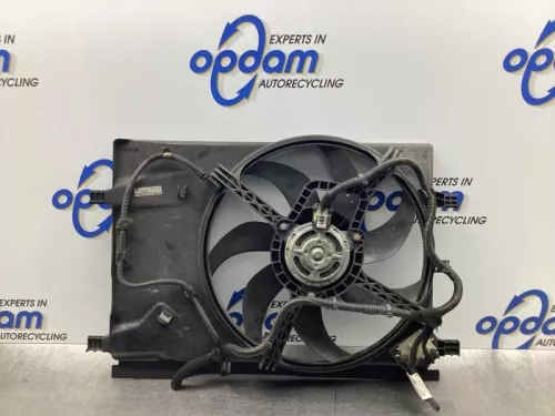 Koelvin Motor-7879205 (17534013)