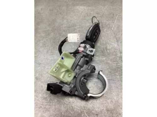 Kontaktslot+Sleutel-8051491 (21675425)