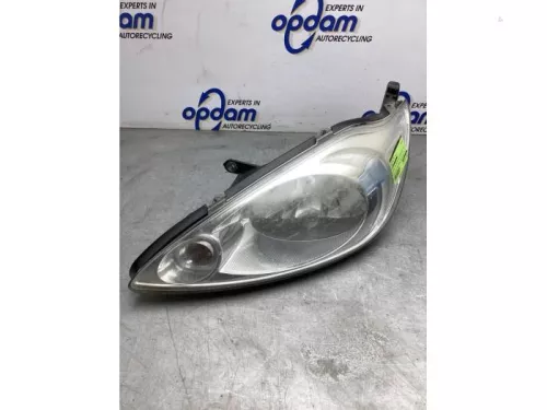 Koplamp links-8254144 (21560173)