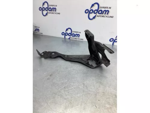 Koplampframe links-7748127 (17196908)