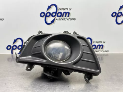 Mistlamp links-voor-8188069 (22569816)