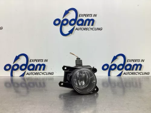 Mistlamp links-voor-8031985