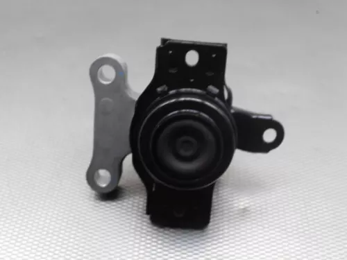 Motorsteun-7611830 (11644476)