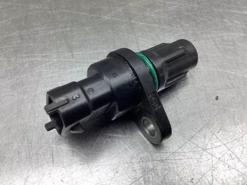 Nokkenas Sensor-8051391 (19274943)