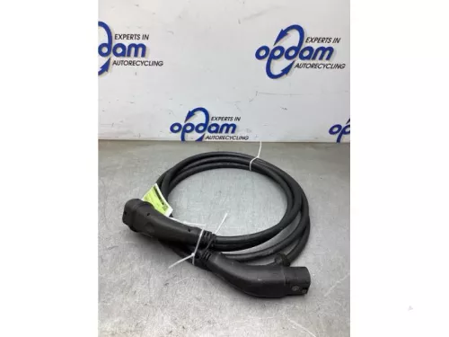 Oplaadkabel elektrische auto-8291527 (22354916)