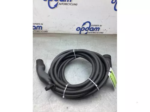 Oplaadkabel hybride-8316996 (22517069)