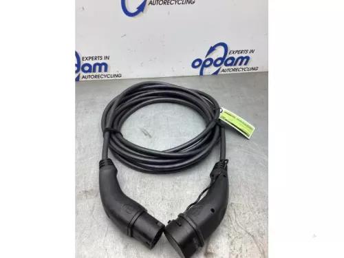 Oplaadkabel hybride-7360848 (22650581)
