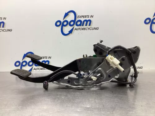 Pedalen Set-8031254 (19301662)