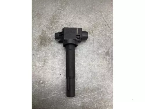 Pen Bobine-
