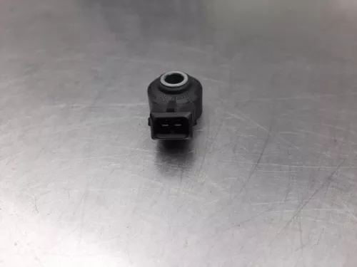 Pingelsensor- (16195347)