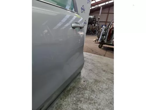 Portier 4Deurs links-voor-8253942 (22515642)