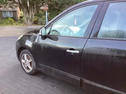 Portier 4Deurs links-voor-8222054 (21413866)