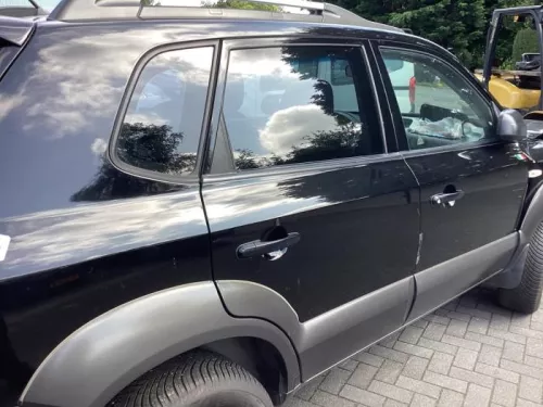 Portier 4Deurs rechts-achter-8200033 (20873917)