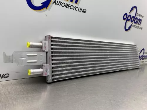 Radiateur-8095104 (21862337)
