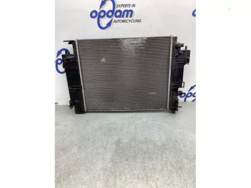 Radiateur-7980130 (18610790)