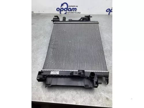 Radiateur-7980130 (18610790)