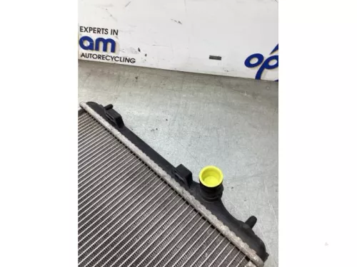 Radiateur-8147073 (22504613)