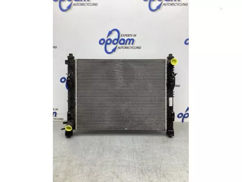 Radiateur-8023802 (20628246)
