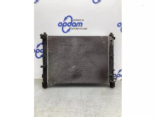 Radiateur-8023802 (20628246)