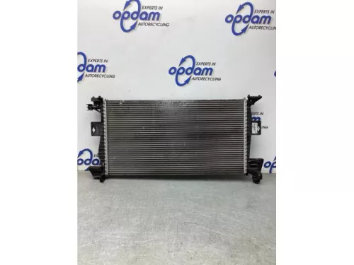 Radiateur-7984368 (19499110)