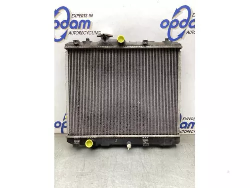 Radiateur-8163602 (20452820)