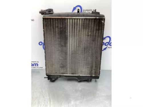Radiateur-7844106 (17025824)