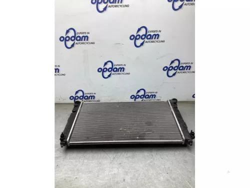 Radiateur-8266027 (22448310)