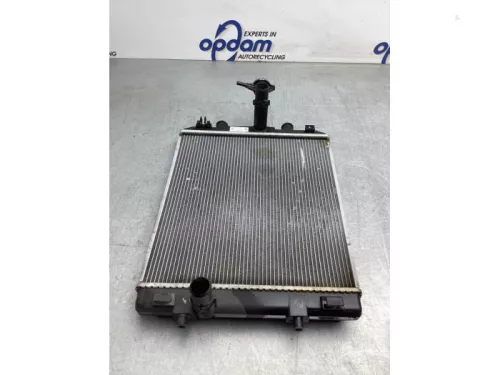 Radiateur-8196692 (20853464)