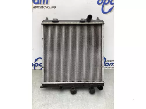 Radiateur-8061780 (21125343)
