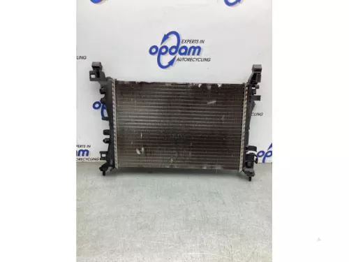Radiateur-8220600 (21706496)