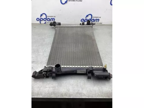 Radiateur-8180176 (21722039)