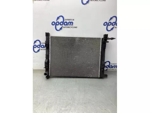 Radiateur-8071372 (20463765)