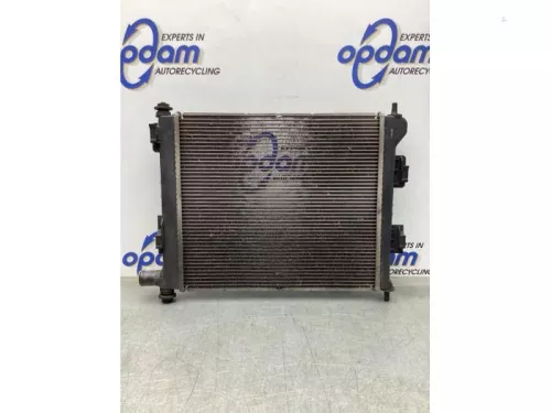 Radiateur-8055054 (19081787)