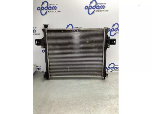 Radiateur-8074126 (19305604)