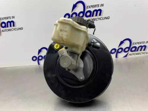 Rembekrachtiger-8045510