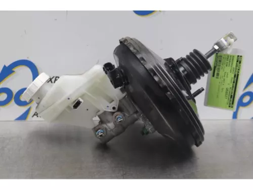 Rembekrachtiger-7867165