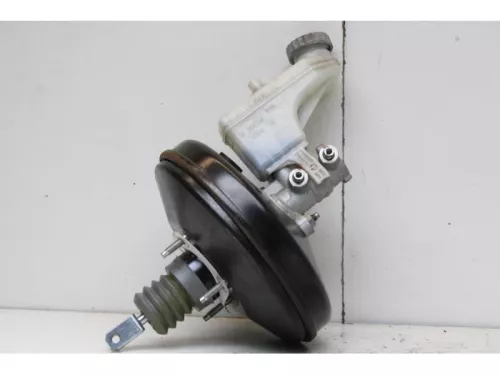 Rembekrachtiger-7877674