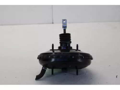 Rembekrachtiger-7878841