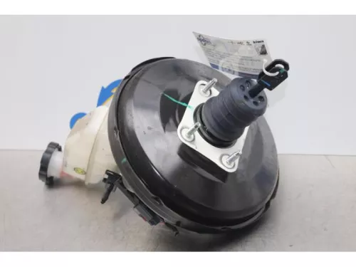 Rembekrachtiger-7879399