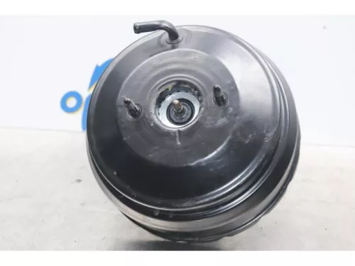 Rembekrachtiger-7609977