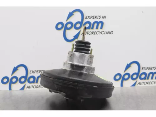 Rembekrachtiger-7877485