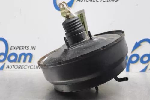 Rembekrachtiger-7878323