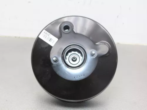 Rembekrachtiger-7611830