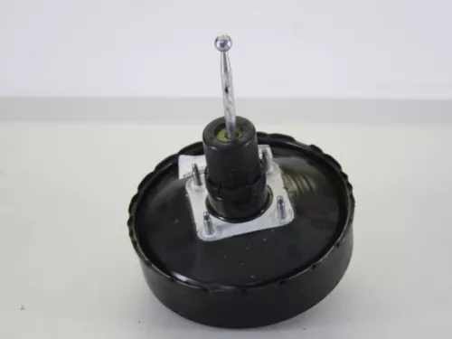 Rembekrachtiger-7739874