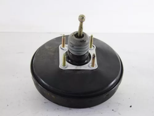 Rembekrachtiger-7887498