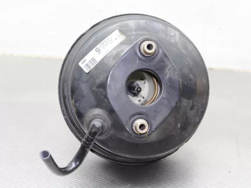 Rembekrachtiger-7884841