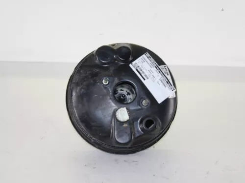 Rembekrachtiger-7886793