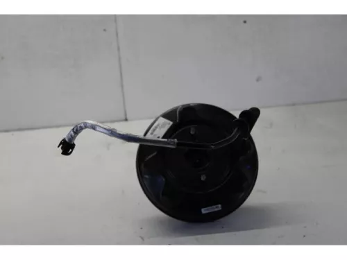 Rembekrachtiger-7878915