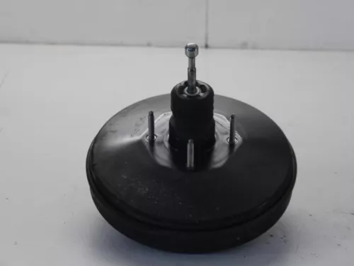 Rembekrachtiger-7878923