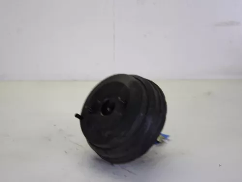 Rembekrachtiger-7886964